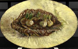 Basket of Hyacinth Bulbs