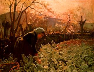 Horta