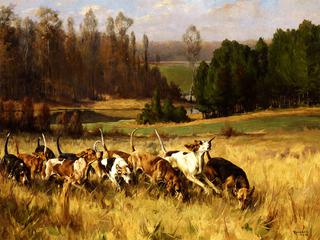 The Pack at Full Cry