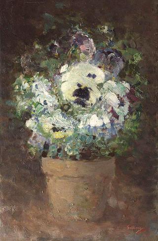 Pansies