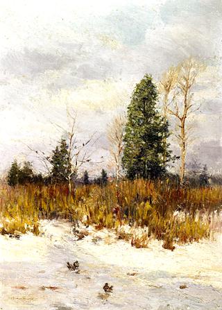 Winter Scene