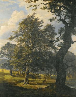 Dyrehaven near Copenhagen