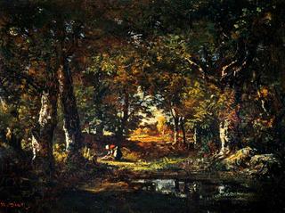 Pool in the Forest