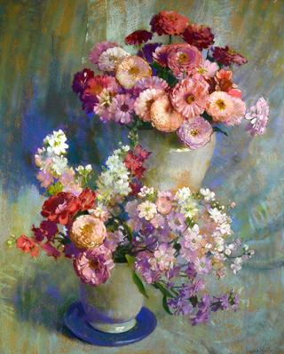 Zinnias and stock