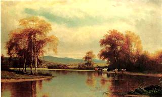 Cattle by a Stream
