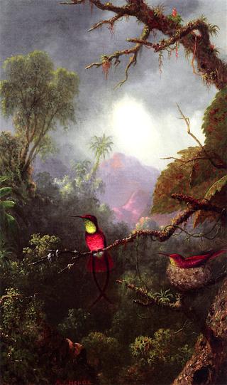 Nesting Hummingbirds, Brazilian Landscape