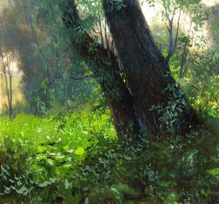 Trees