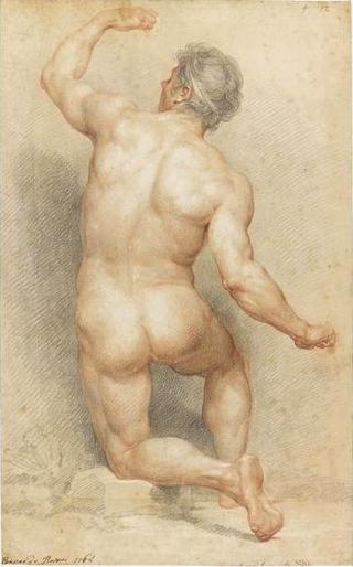 Male Academie