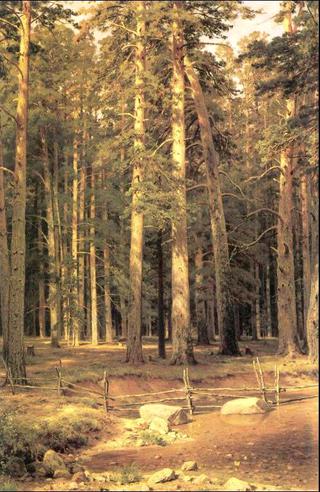 Ship Timber Grove