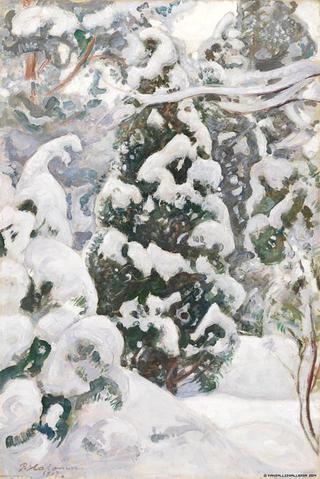 Snow