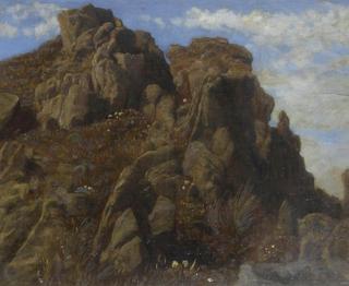 Mewstone Rock, Dartmouth