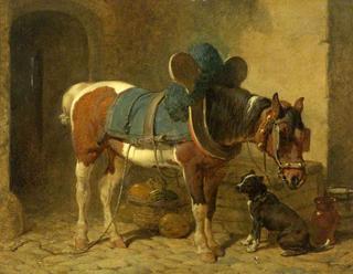 Stable Companions