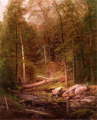 Rattlesnake Run