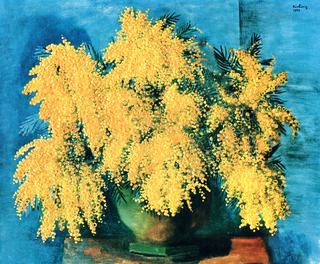 Mimosa