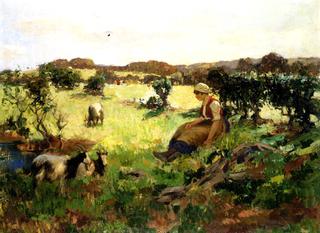 Summer in Galloway