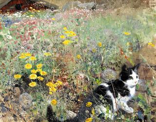 Cat in the Meadow