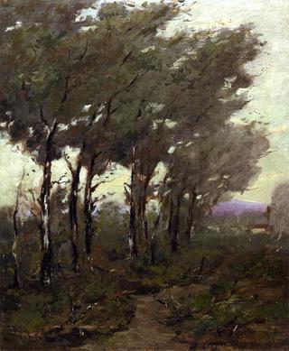 Birches