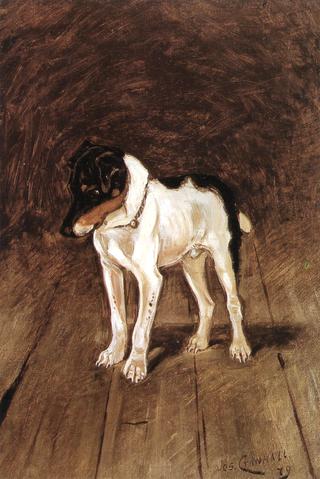 The Fox Terrier