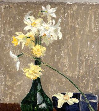 Daffodils