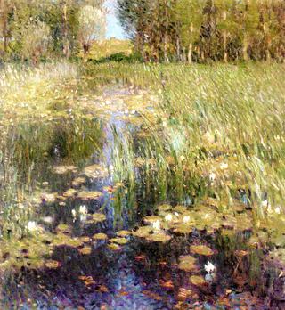 Waterlilies