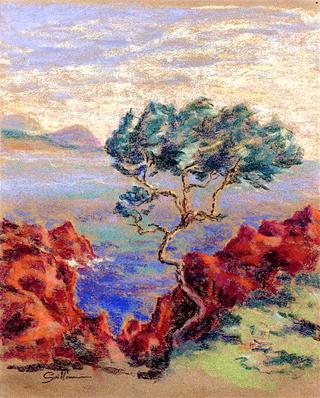 Le Trayas, Landscape of the Midi
