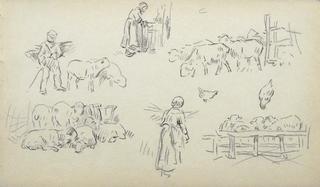 Study of sheeps and shepherds