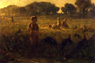 Turkey Pasture in Kentucky