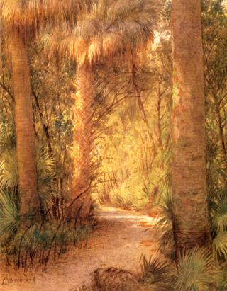 Jungle Rain, Palm Beach