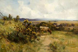 Landscape with Cattle