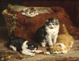 kittens at play