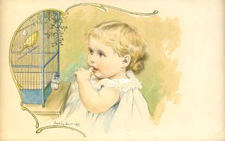 Little Bird