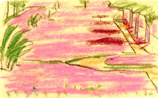 Crocus Blossom