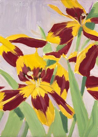 Tulips