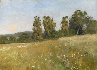 Forest Meadow