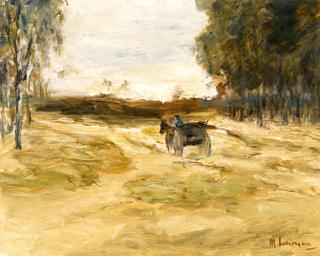 Heath Landscape - Brandenberg