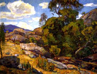 Rugged Landscape
