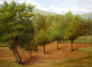 Spring Landscape