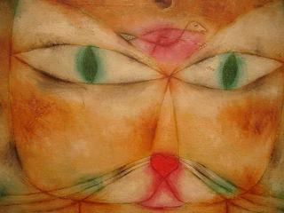 猫和鸟