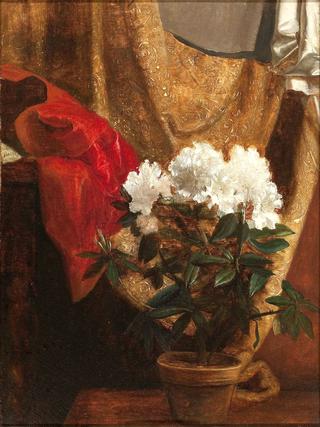 Still Life with Potted Flower