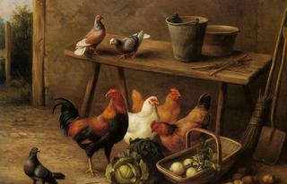Chickens and Pigeons in a Farmyard