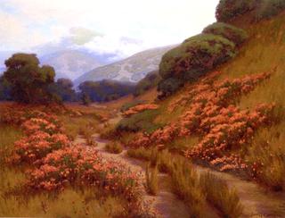Autumn Wild Flowers