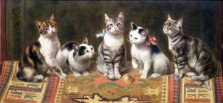 Cat Family