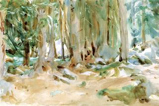 Purtud: A Forest Scene