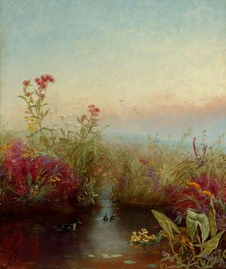 Riverbank in Bloom
