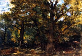 Forest Scene near Sénart