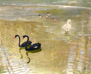 Black Swans at Chartwell
