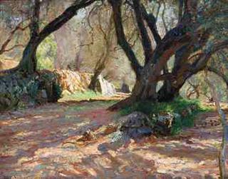 Dappled Sunshine in the Garden