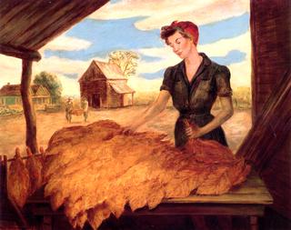 Grading a Pile of Tobacco after Curing