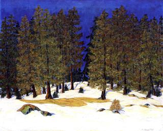 Forest-Spring