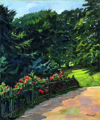 Rosebush